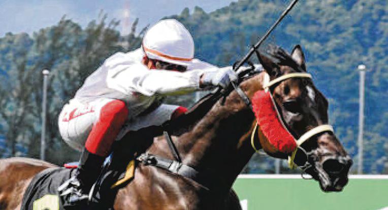 Still Some Mileage Left In Circuit Mission's Legs