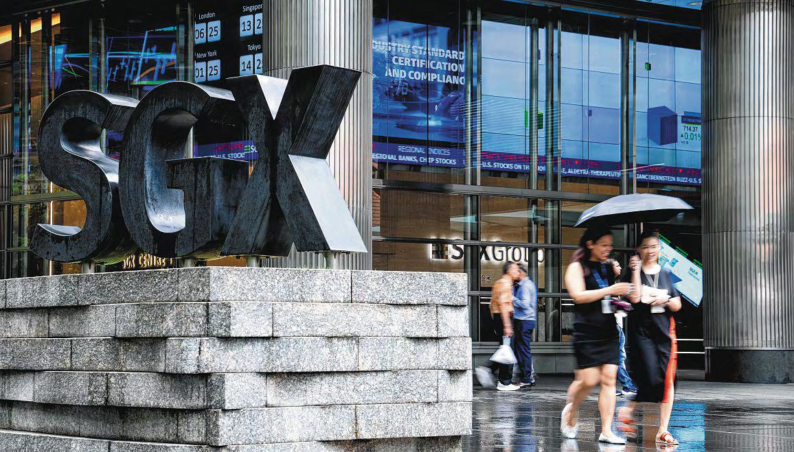 Stocking up on shares? Experts call for caution