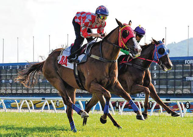 Shirvo Ready For First Salvo