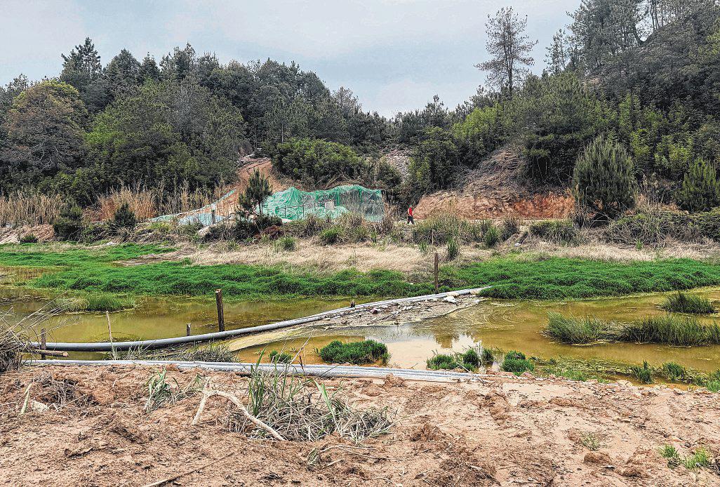 How China Took Over the World's Strategic Rare Earths Industry