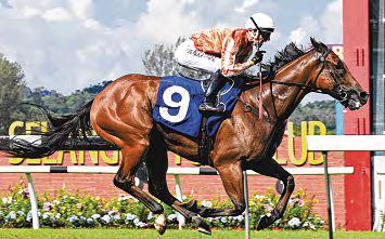 Pacific Vampire Gets 1st M'sia Win