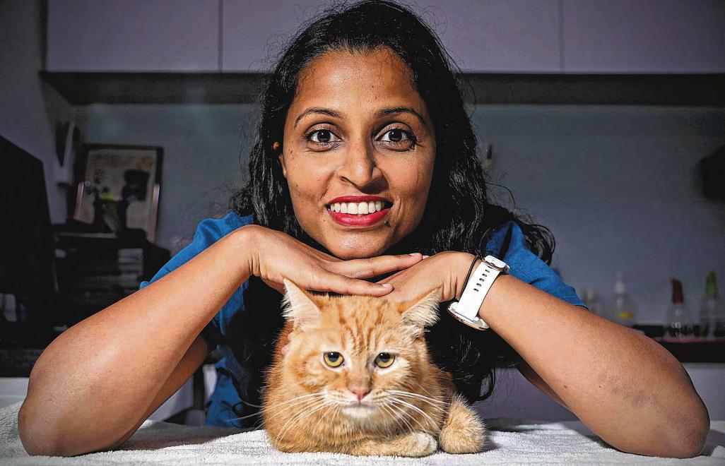The vet with a soft spot for feline patients