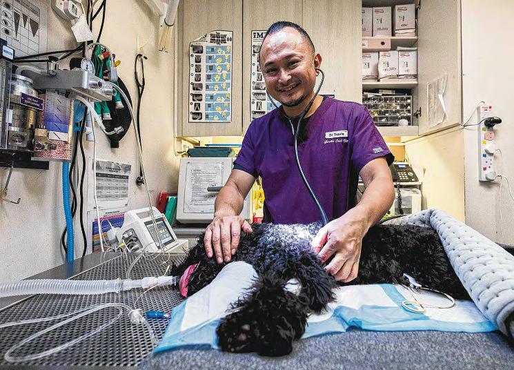 The vet who used to work in Singapore Police Force's K-9 Unit