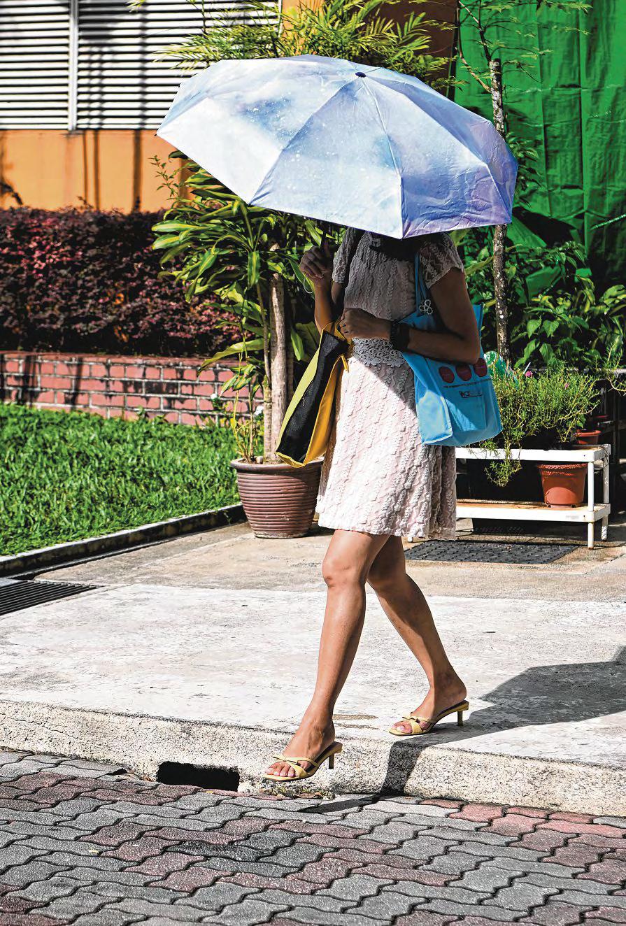 Don't Treat Mental Health And Climate Change As Isolated Issues