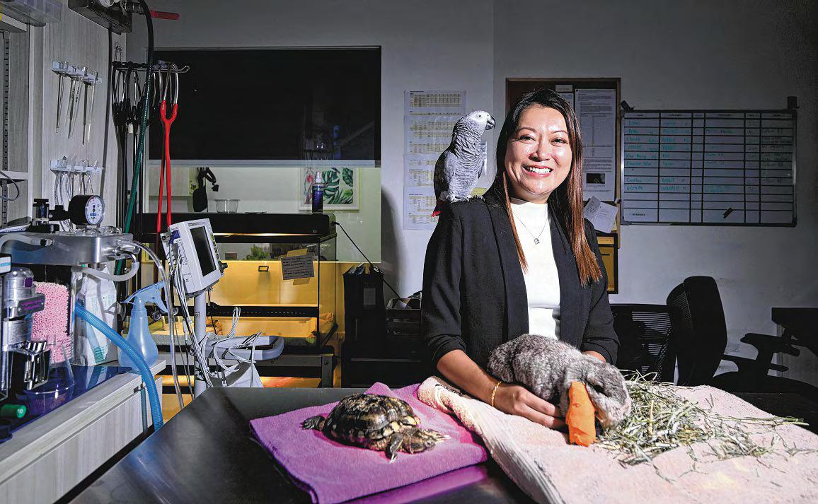 The vet who is the only exotic companion mammal specialist in Singapore