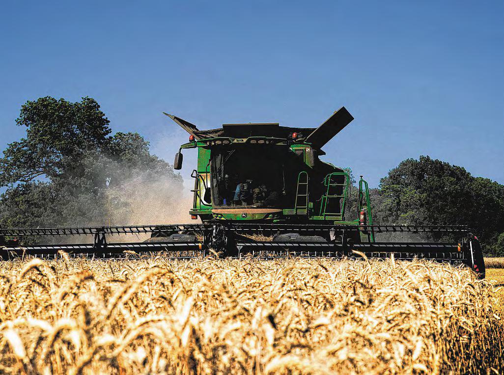 China slashes US commodities purchases as trade war intensifies