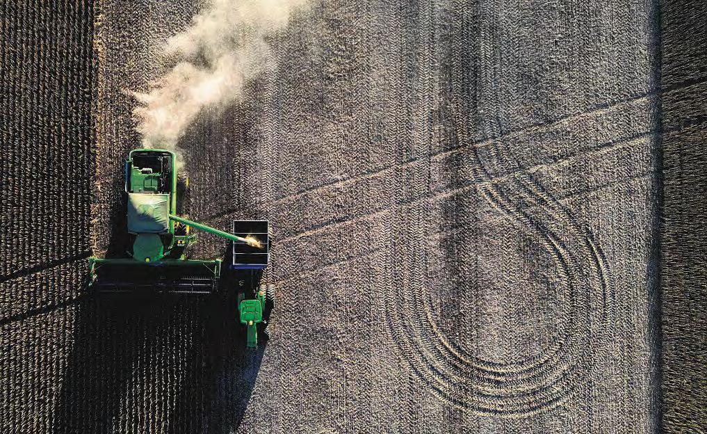 US soya bean farmers fret as China looks elsewhere