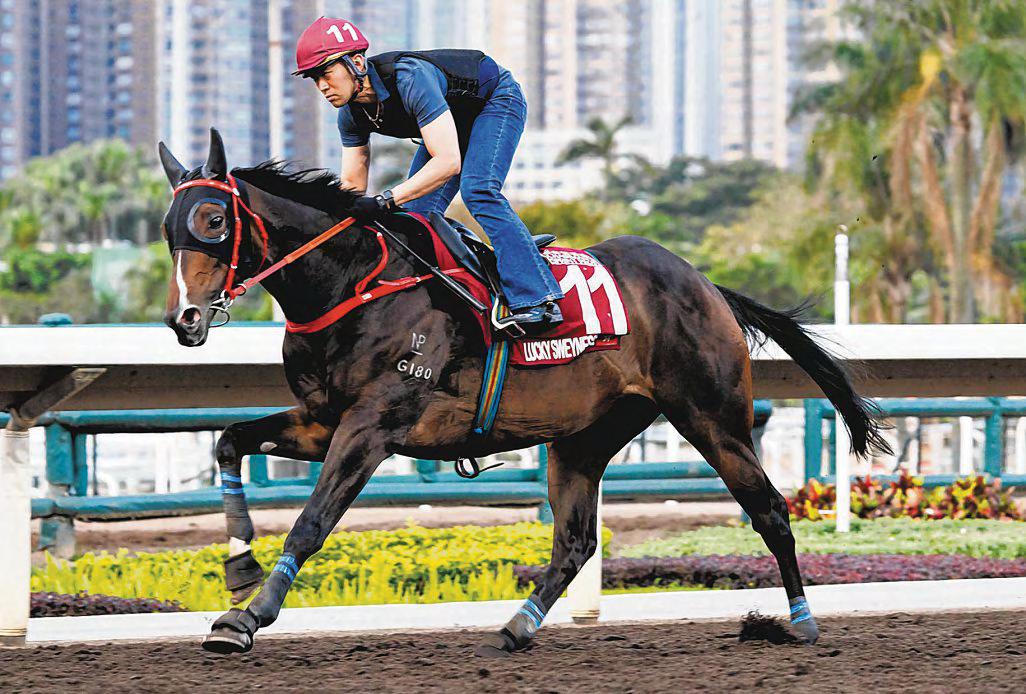 PATIENCE KEY TO LUCKY SWEYNESSE'S COMEBACK