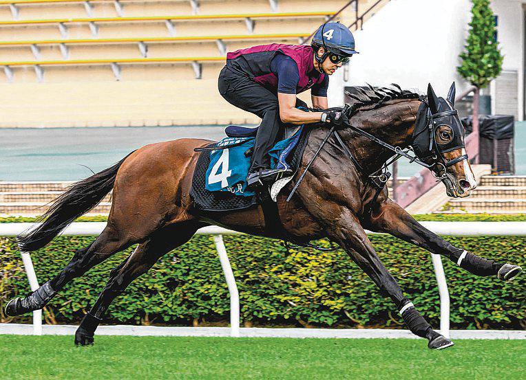 Prognosis Looks Up In QEII Cup
