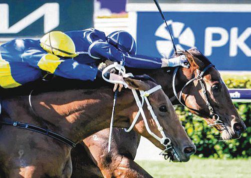 Classy Perth juvenile duo looking to settle 1-1 score with face-off in Karrakatta Plate