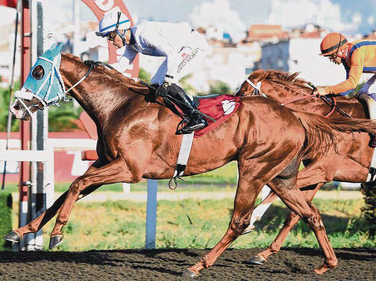 Turkish Delights Coming to Singapore