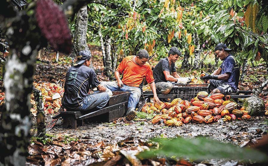 With the future of food in flux, Singapore-listed agribusinesses have room to expand