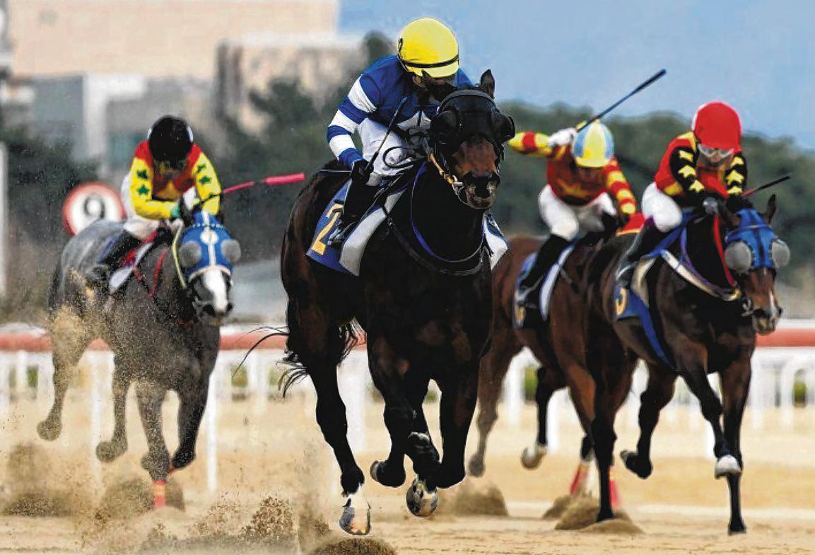 Fantastic Value Steals The Show In Korean Oaks