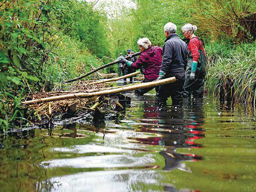 UK towns harness nature to combat rising flood risk