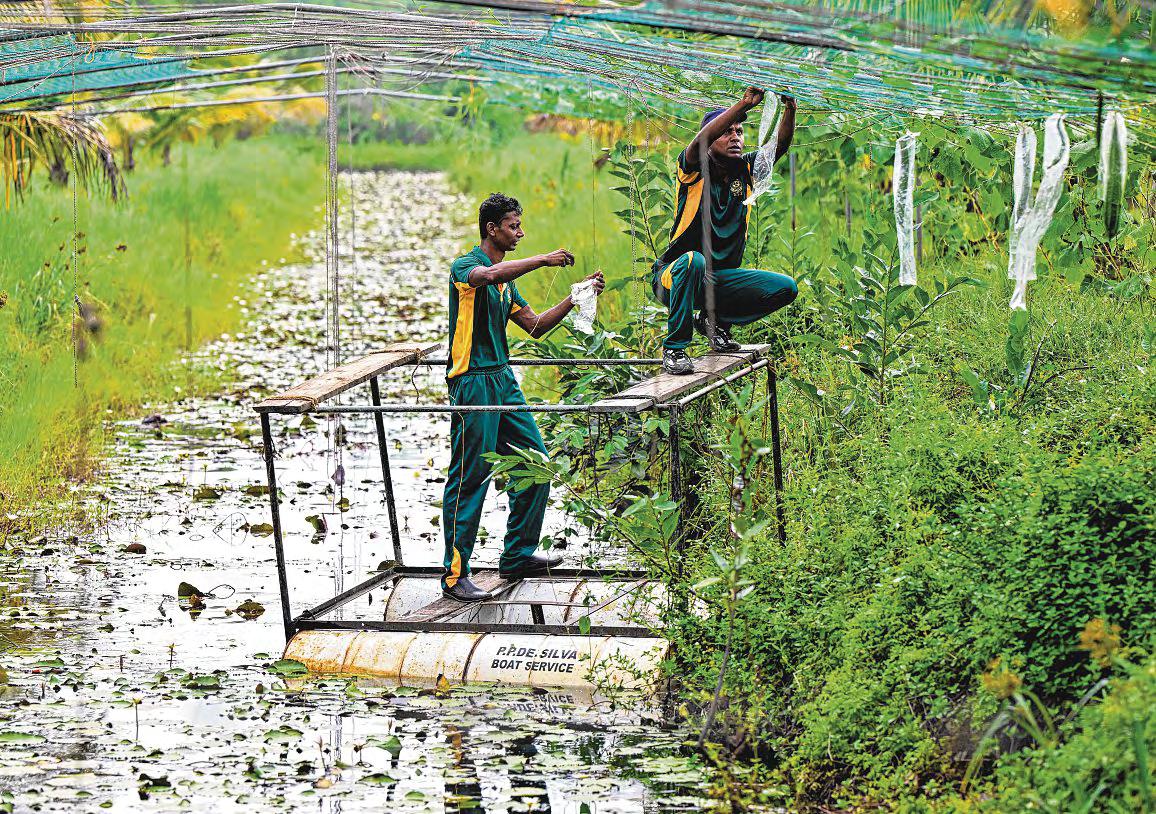 Climate change - which dries out the soil, reduces water resources or raises sea levels - is expected to increase the proportion of such "salty" land from 24 per cent to 32 per cent of the world's surface area by the end of the century, the FAO warns.