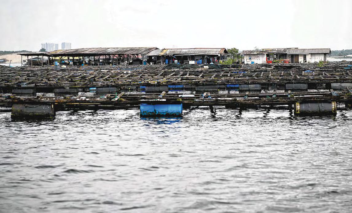 Aquaculture operations in East Johor Strait to be expanded from 2026