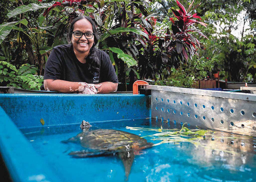 Acres co-CEO, a 'powerhouse' in wildlife rescue, steps down