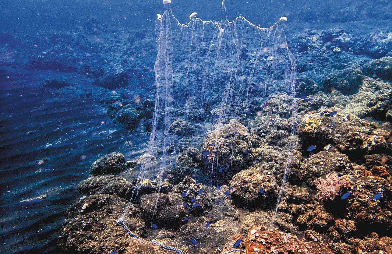 Guardian of the reef recalls his pivot from poison
