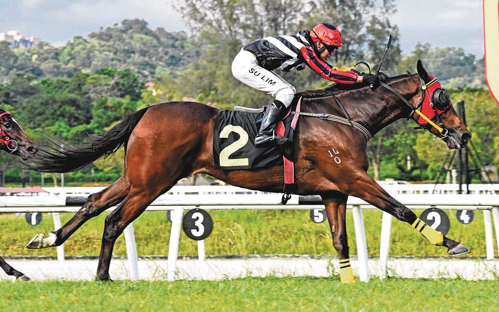 Mahadi Reaps Instant Reward