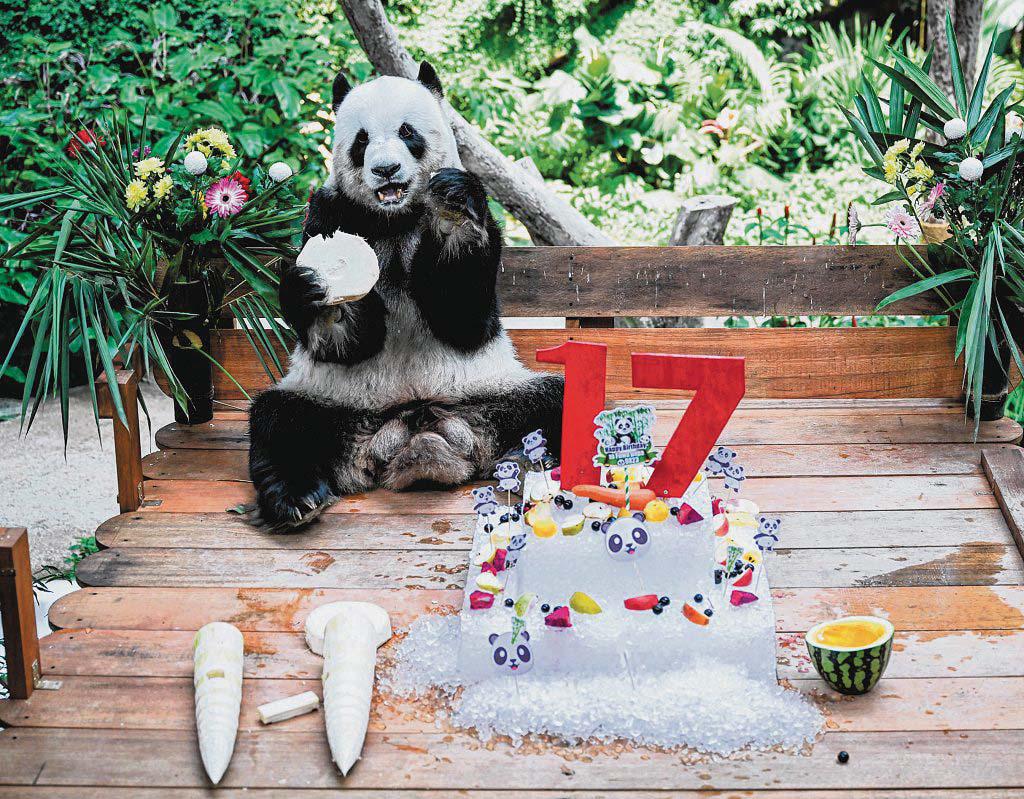 Fans in Malaysia gather at Zoo Negara to bid farewell to 2 beloved pandas