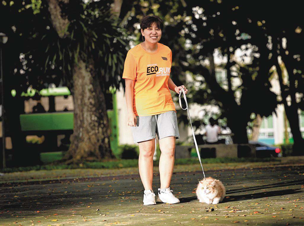 Catch Outdoorsy Cat Money in Income Eco Run