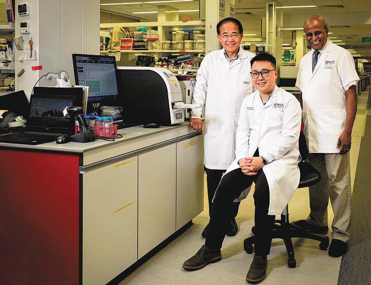 Made-in-Singapore antibody test for multiple viruses now used globally
