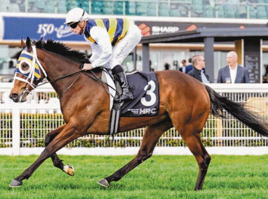 Femminile To Be Ridden By Shinn