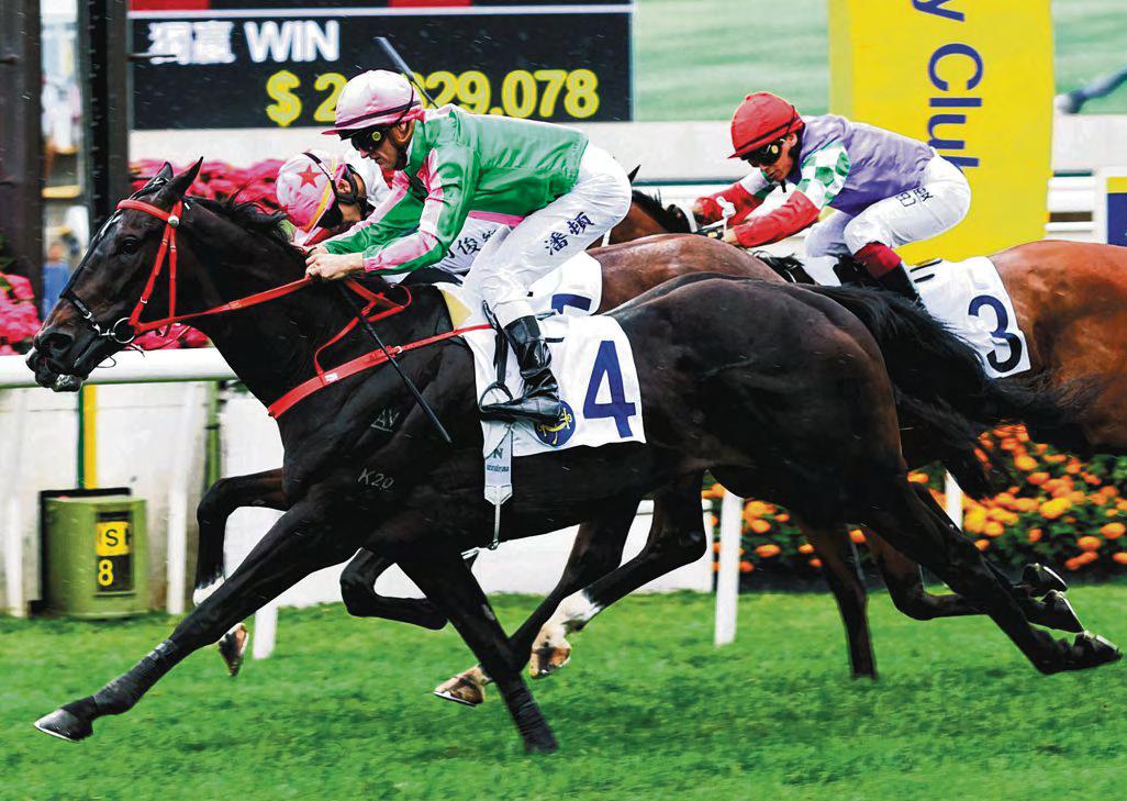 Atzeni Bidding For First HK G1 Atop Bundle Award