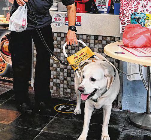 Inclusivity. Let guide-dog users move with dignity