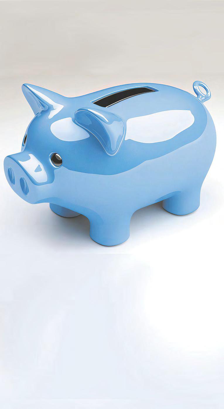 To Have or Not to Have? Financial Transparency in Marriage