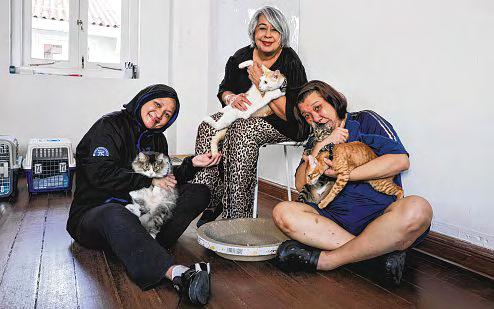 Over $36,000 raised in ground-up effort to help community cat feeders