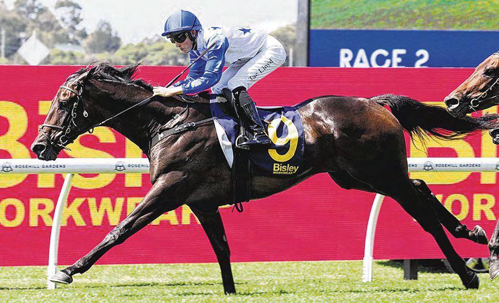 King Of Thunder Can Rule In Derby