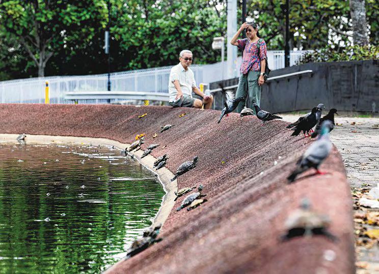 Animal welfare Relook import, trade of terrapins
