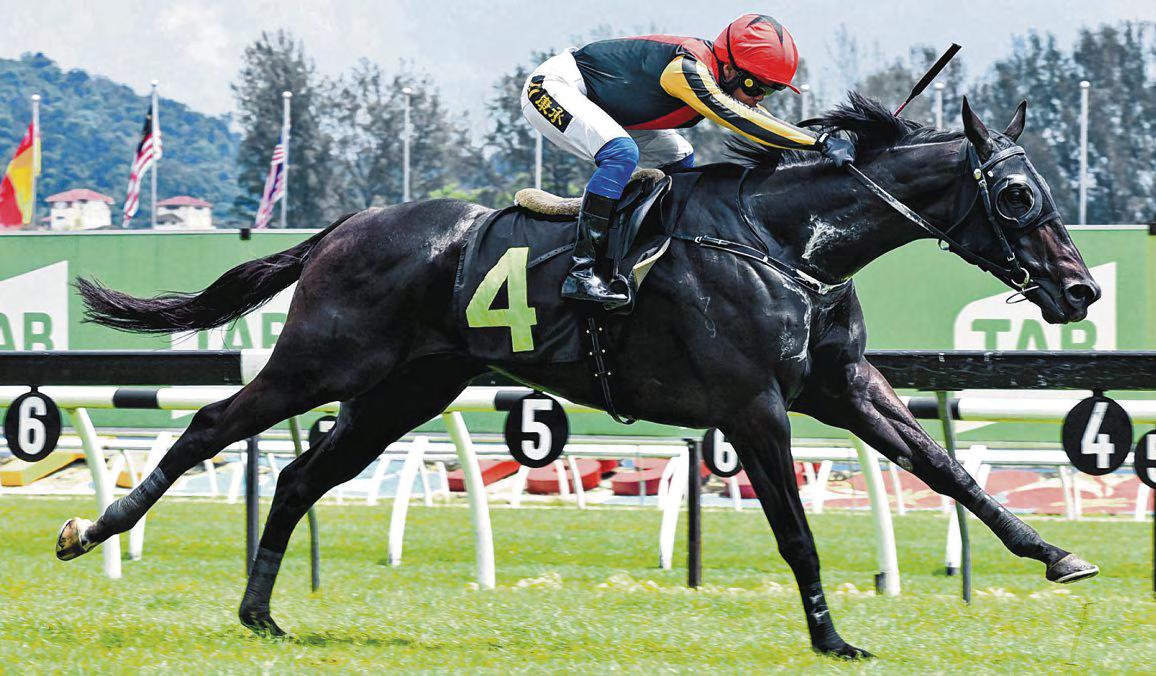 Selvan's Team Toss In Serious Gallops