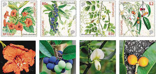 New stamp series showcases critically endangered native coastal plants