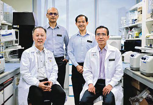 S'pore researchers to study stem cell transplants in brain to stop Parkinson's disease