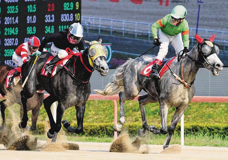 Raon Forest Gets Up in KNN Cup