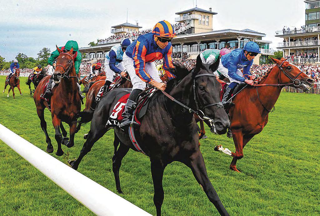 Irish Masterpiece on Full Display in French Derby