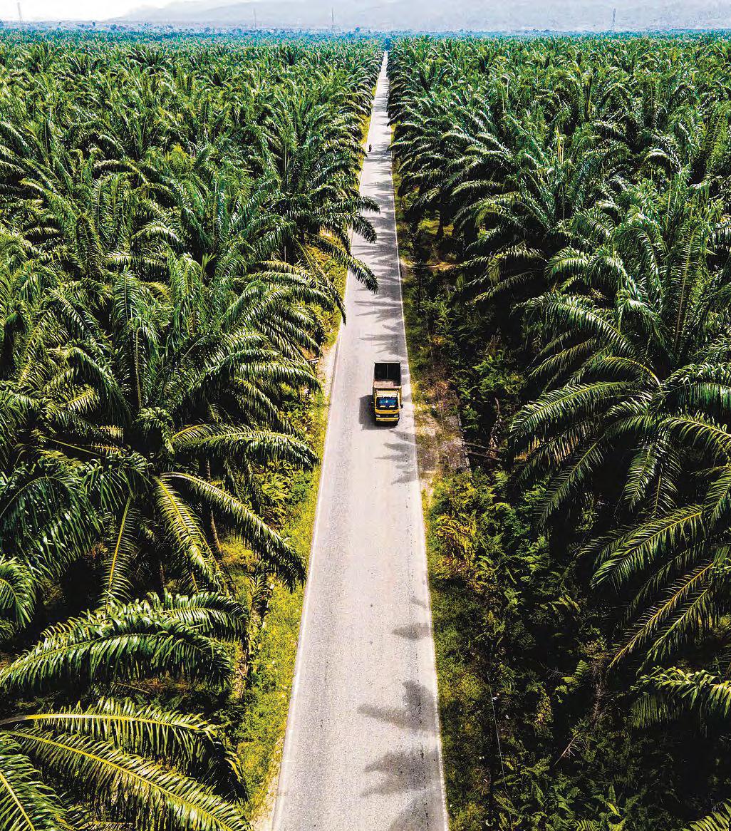 Indonesia Is Pursuing the Worst Form of Solar Power