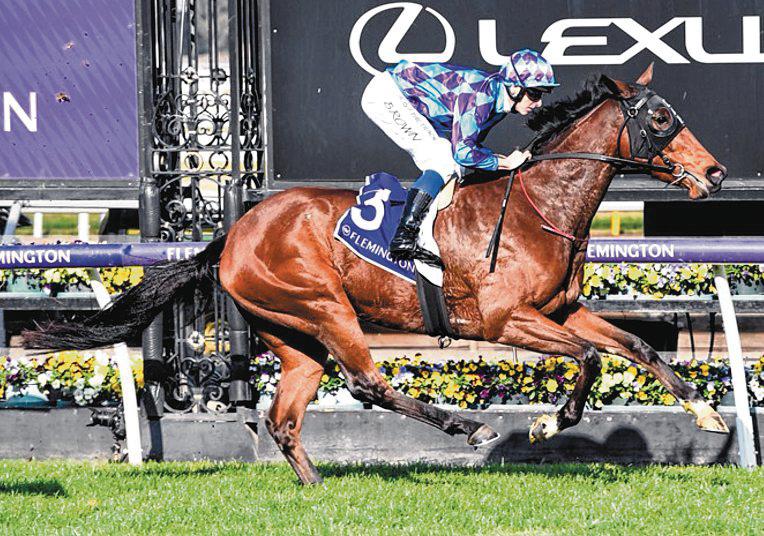 Jenni's Meadow All Set For G1 Queensland Oaks