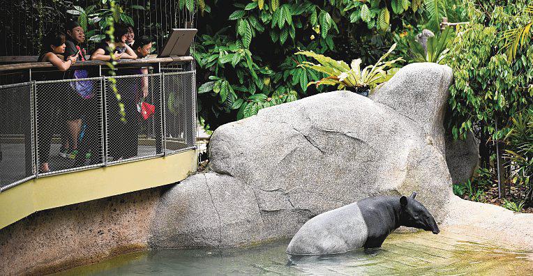 Give families a discount during school holidays