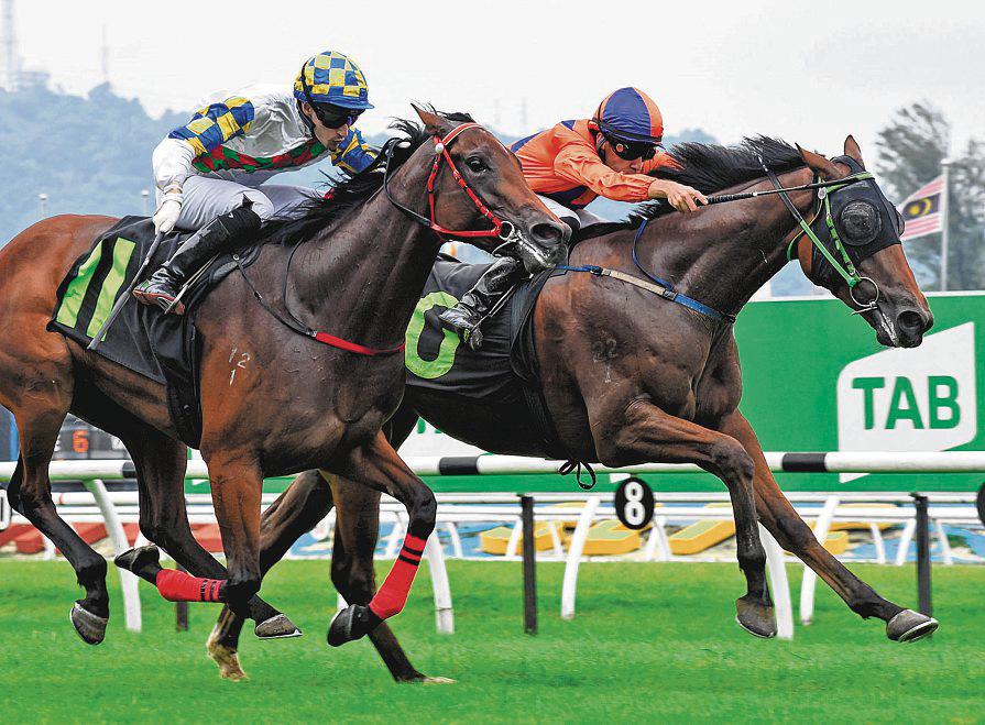 Gold Medal Rose Within A Whiff Of Maiden Victory