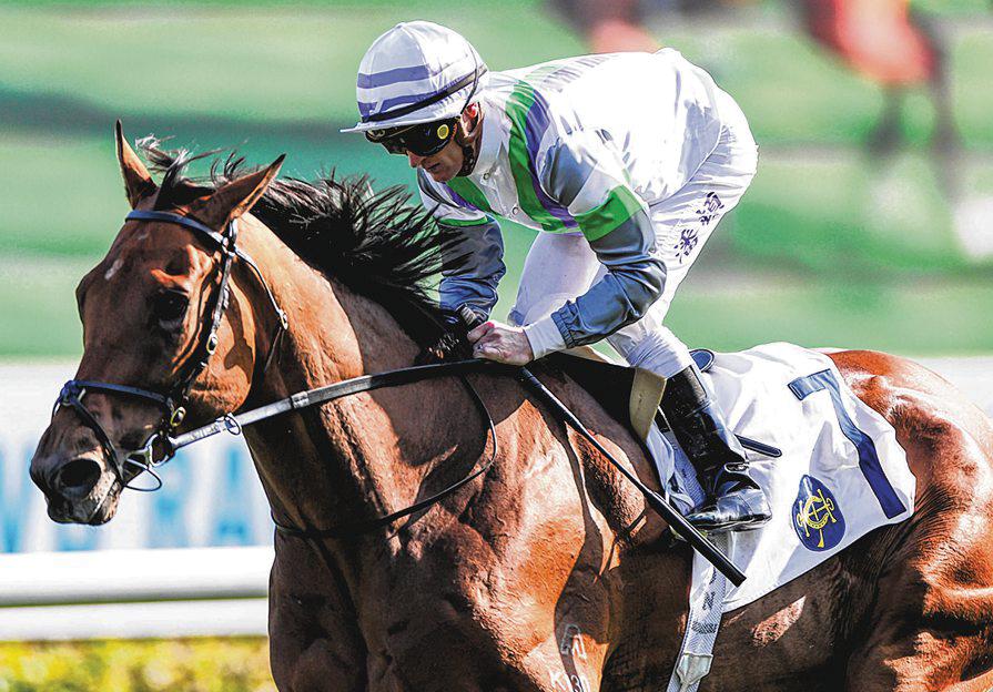 Light Years Charm Has Appeal