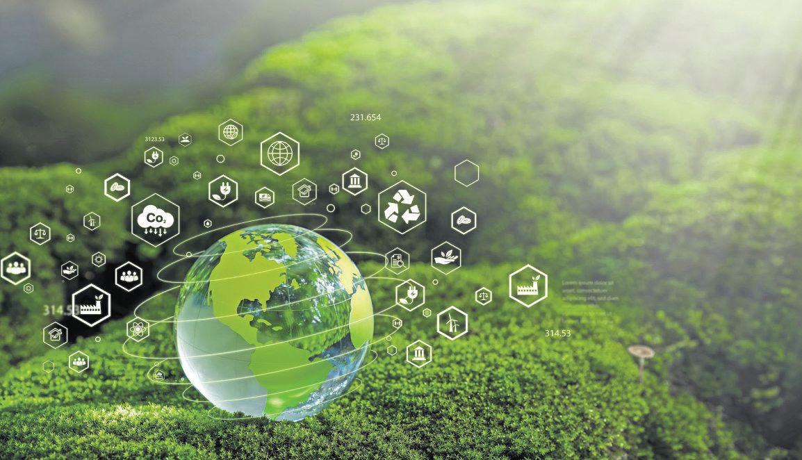 Where Business Meets Green Growth