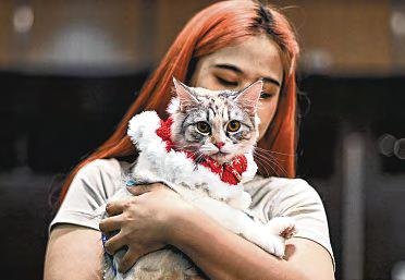 Your cat may or may not love you, but it knows your scent