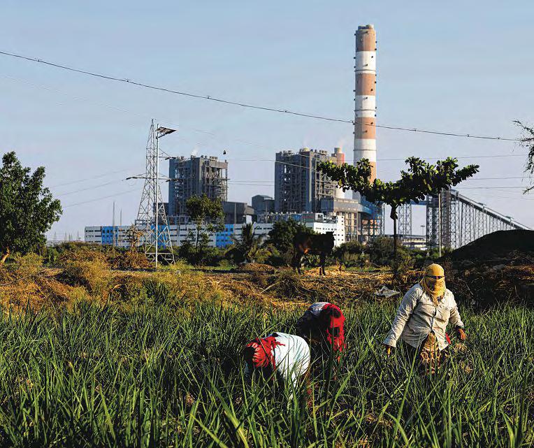 India's $103b Coal Power Boom Is Running Low on Water