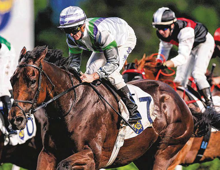 EUSTACE THRIVING, RINGS UP 30TH WIN