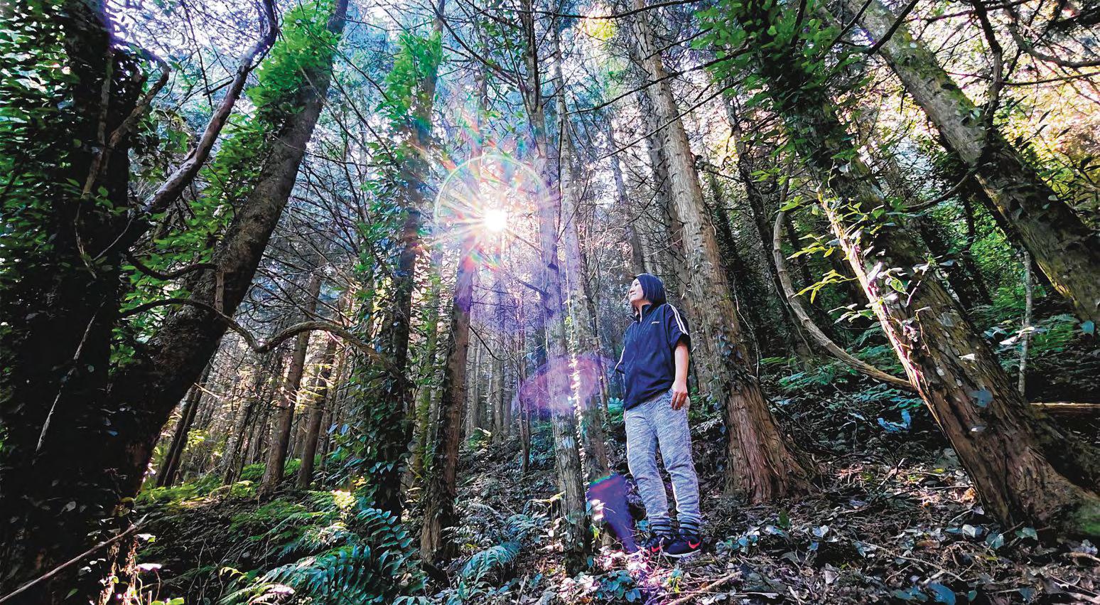 At more than 2,000m above sea level, Lishan is home to the indigenous Atayal people, who are revitalising the Taiwanese spot in fresh ways