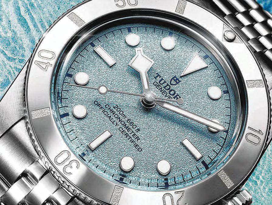 Tudor's Cool Blue Tool Watch