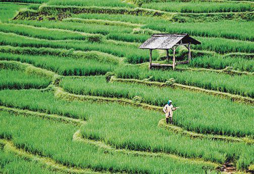 For best travel bargains, think like a contrarian